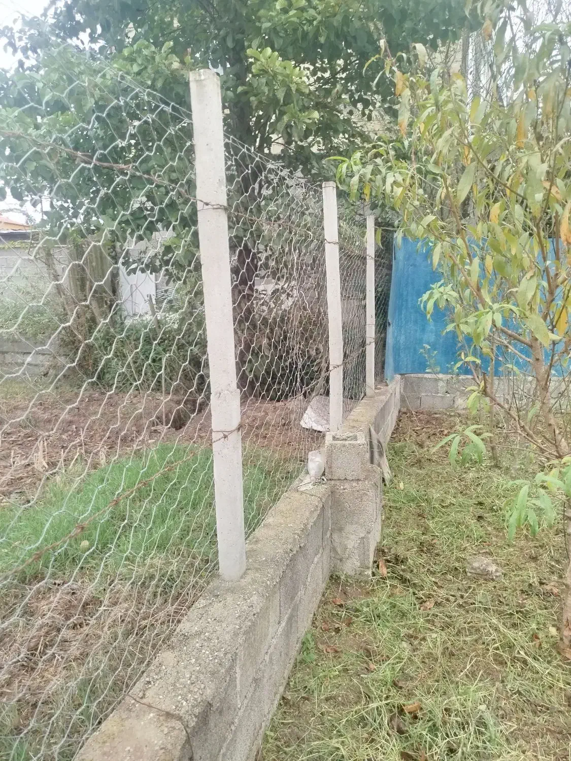 تصویر املاک 8034