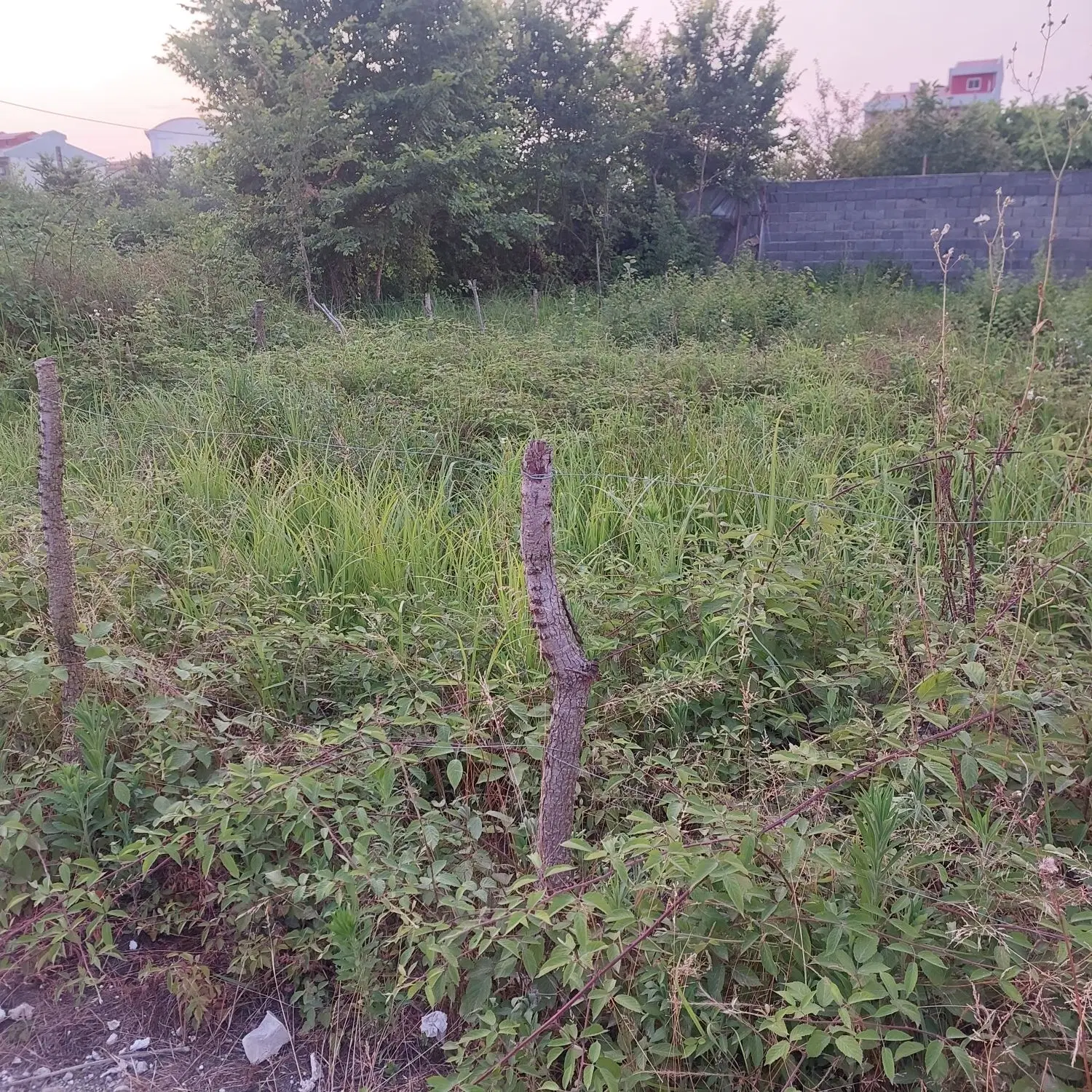 تصویر املاک 53134