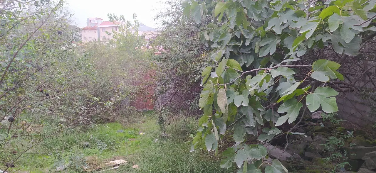 تصویر املاک 121120