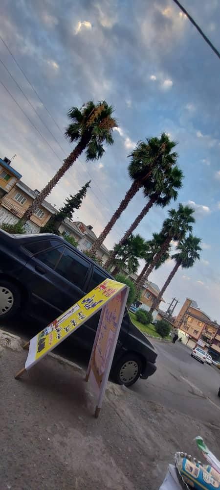 تصویر املاک 19355