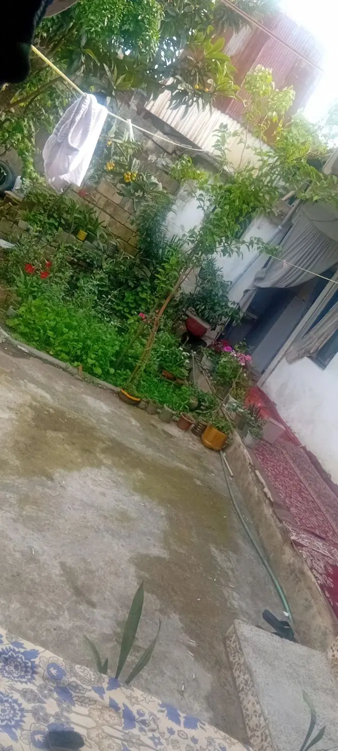 تصویر املاک 83731