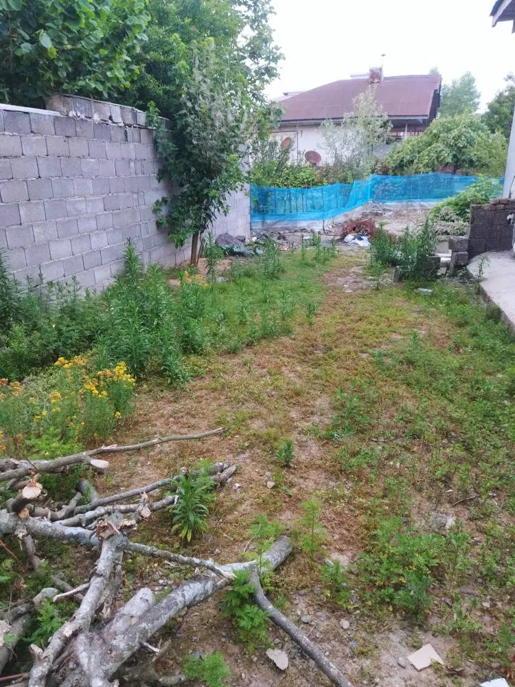 تصویر املاک 60138