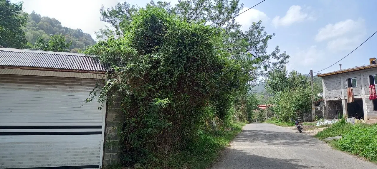 تصویر املاک 137720