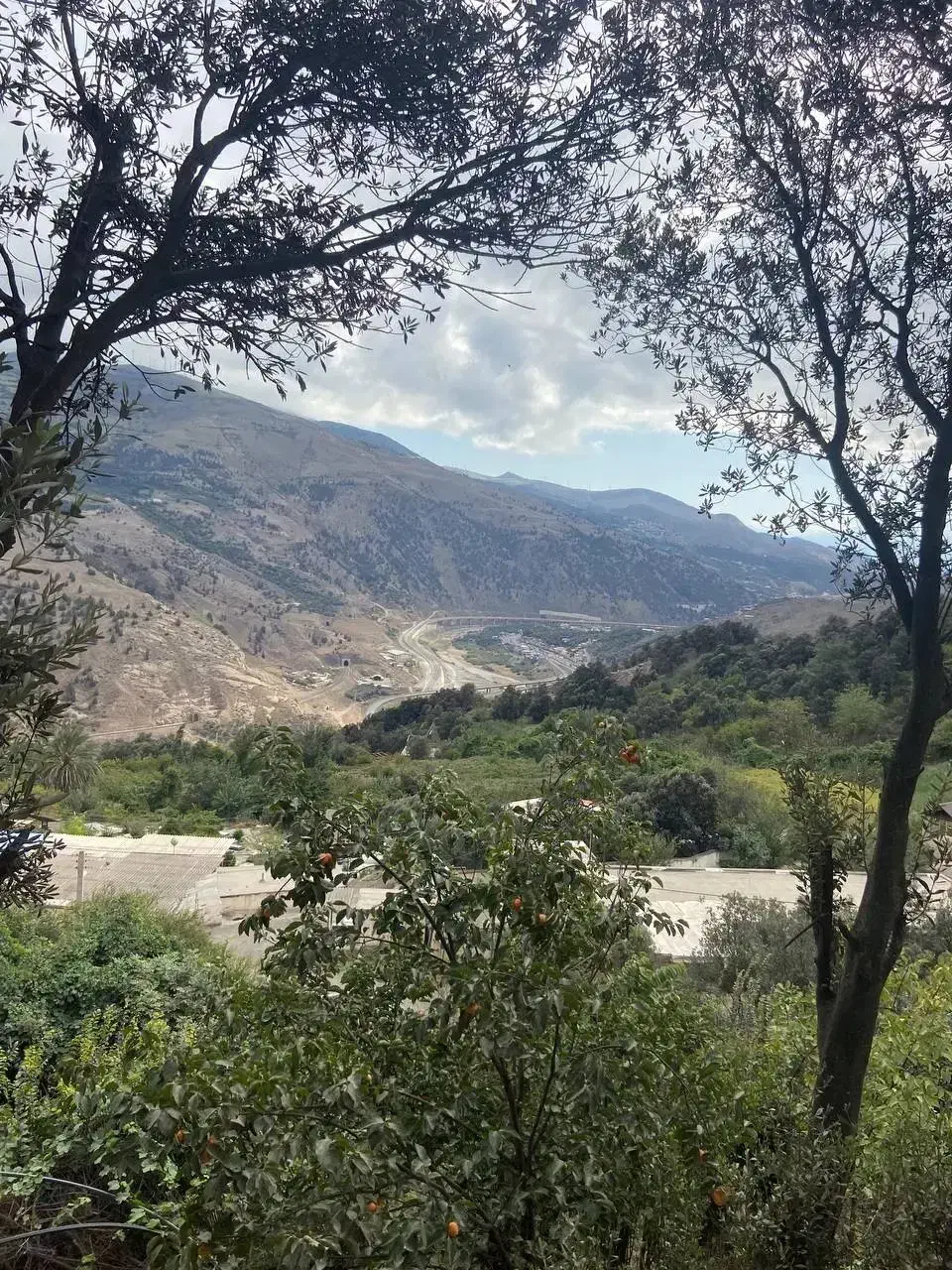 تصویر املاک 15199