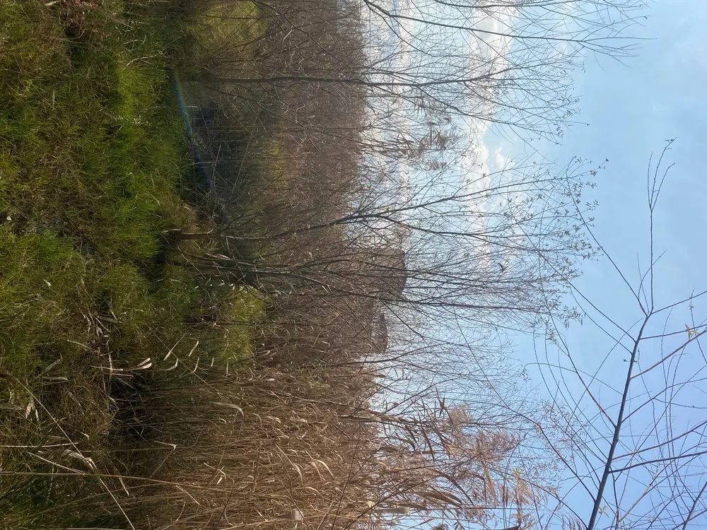 تصویر املاک 110231