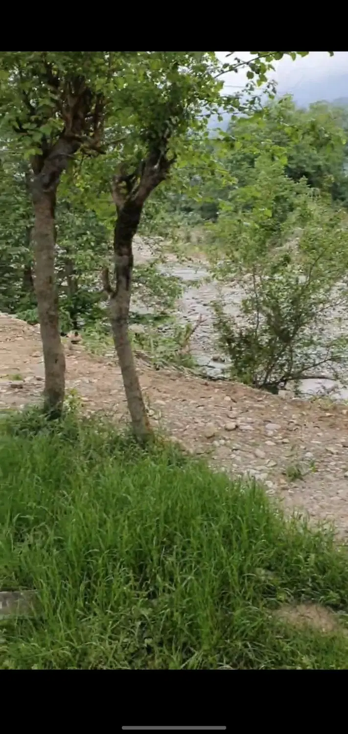 تصویر املاک 135609
