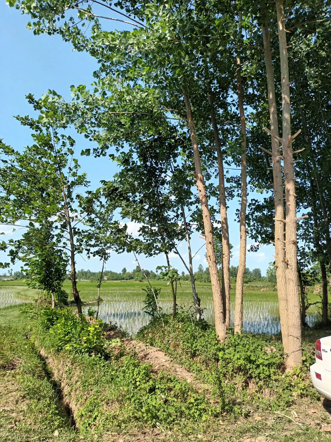 تصویر املاک 76641