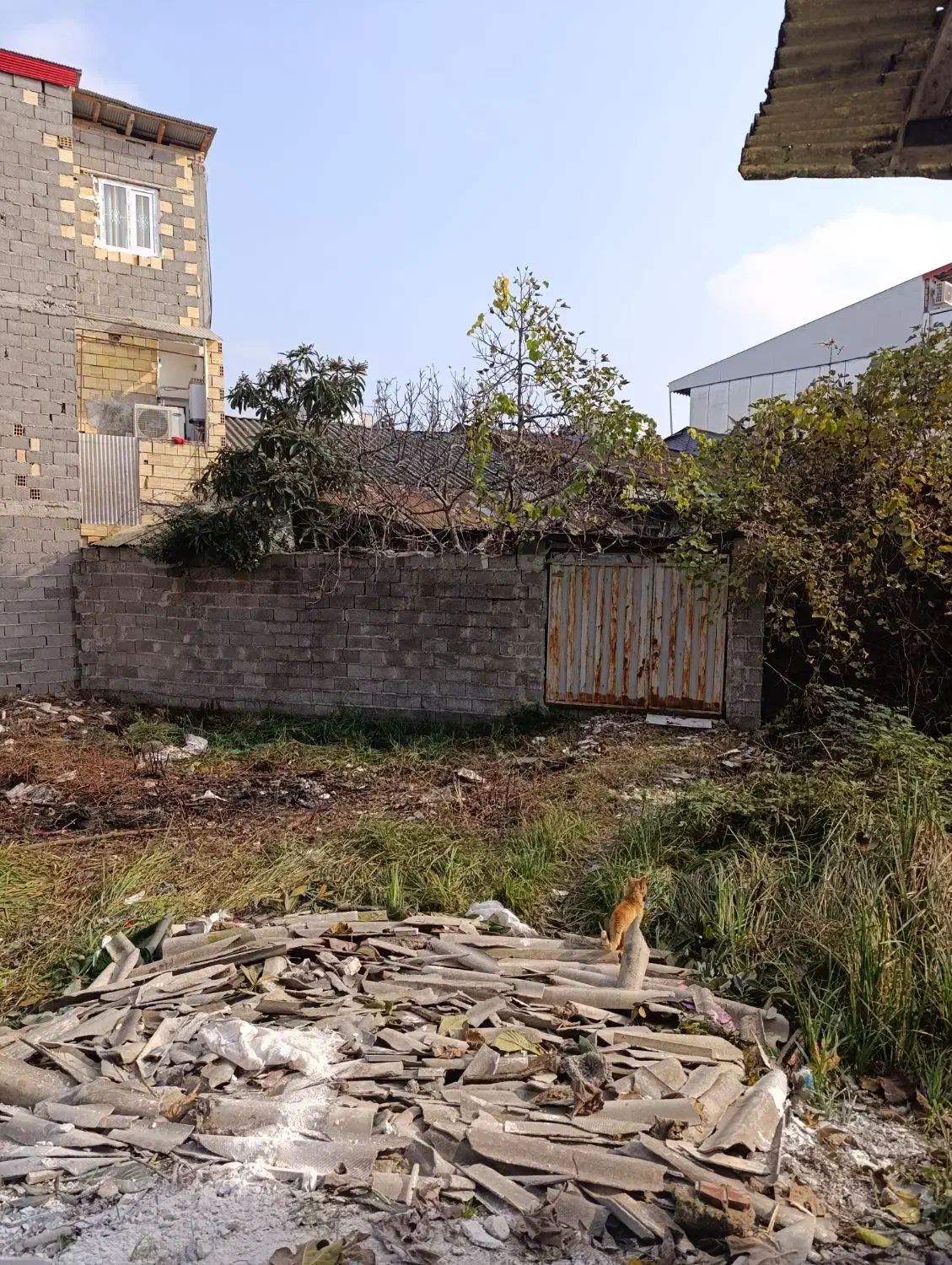 تصویر املاک 18222