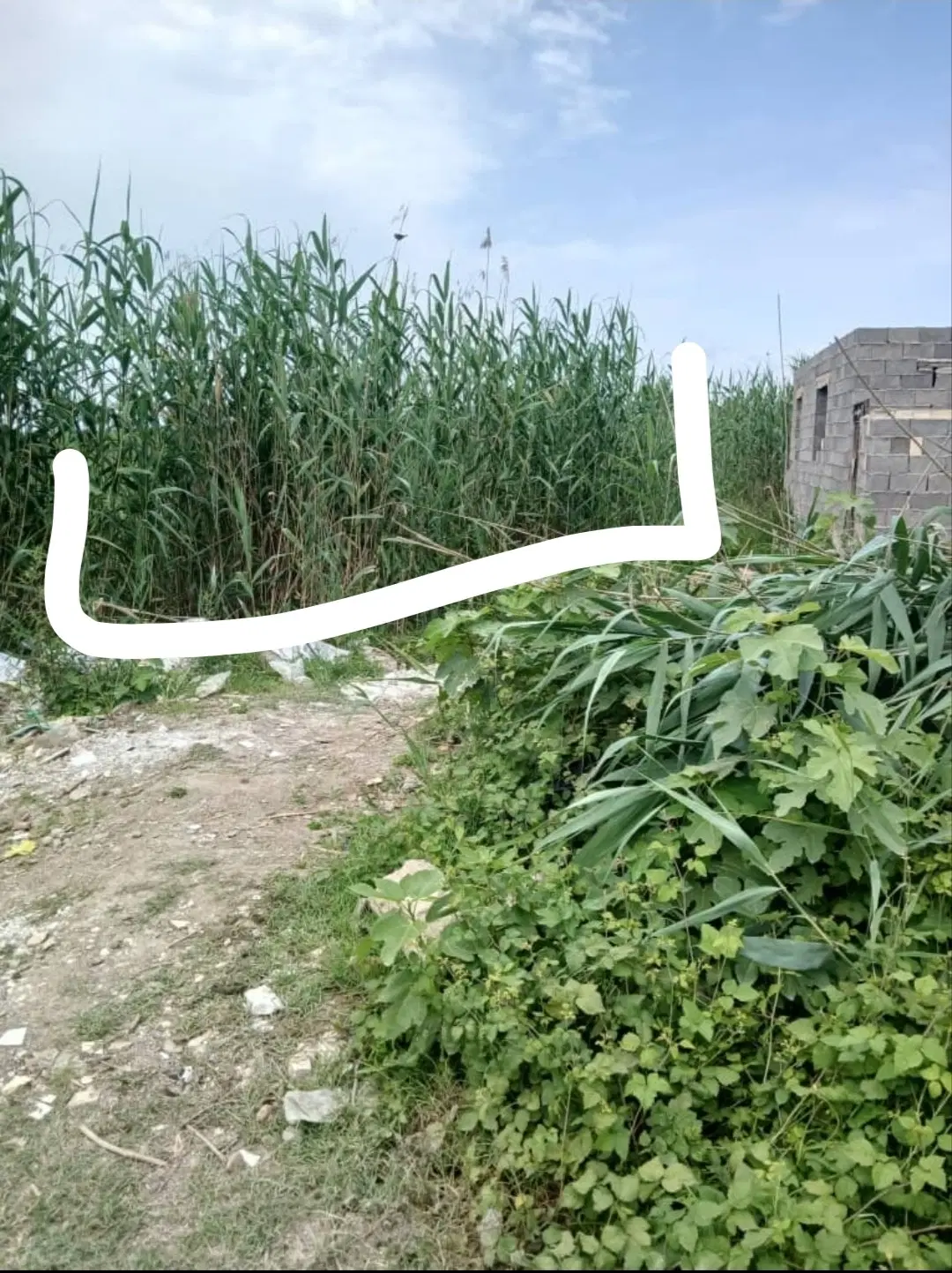 تصویر املاک 65853