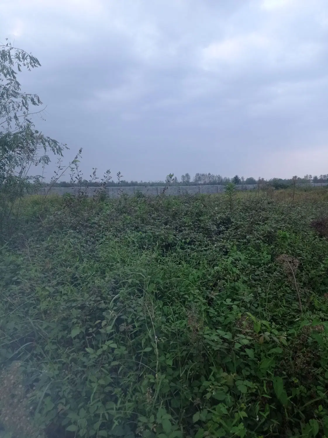 تصویر املاک 133575
