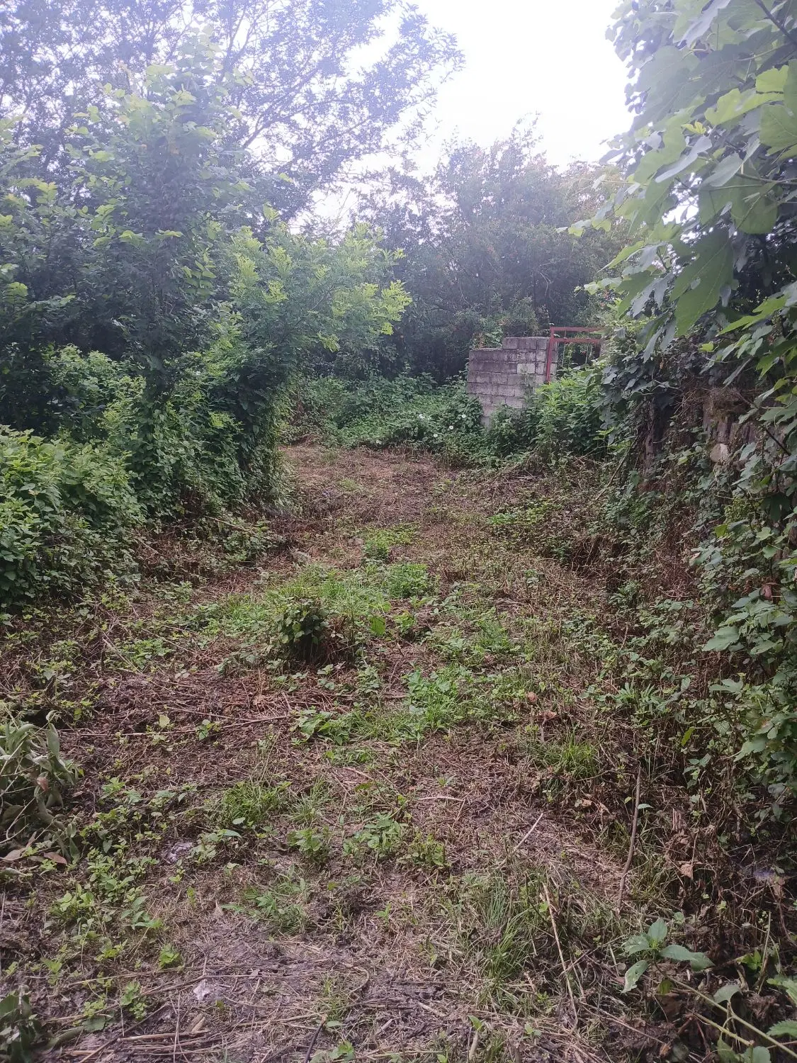 تصویر املاک 64218