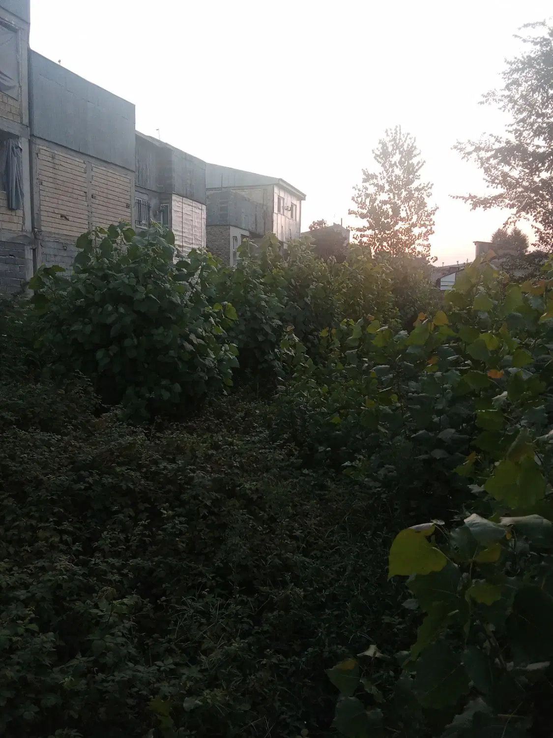 تصویر املاک 110919