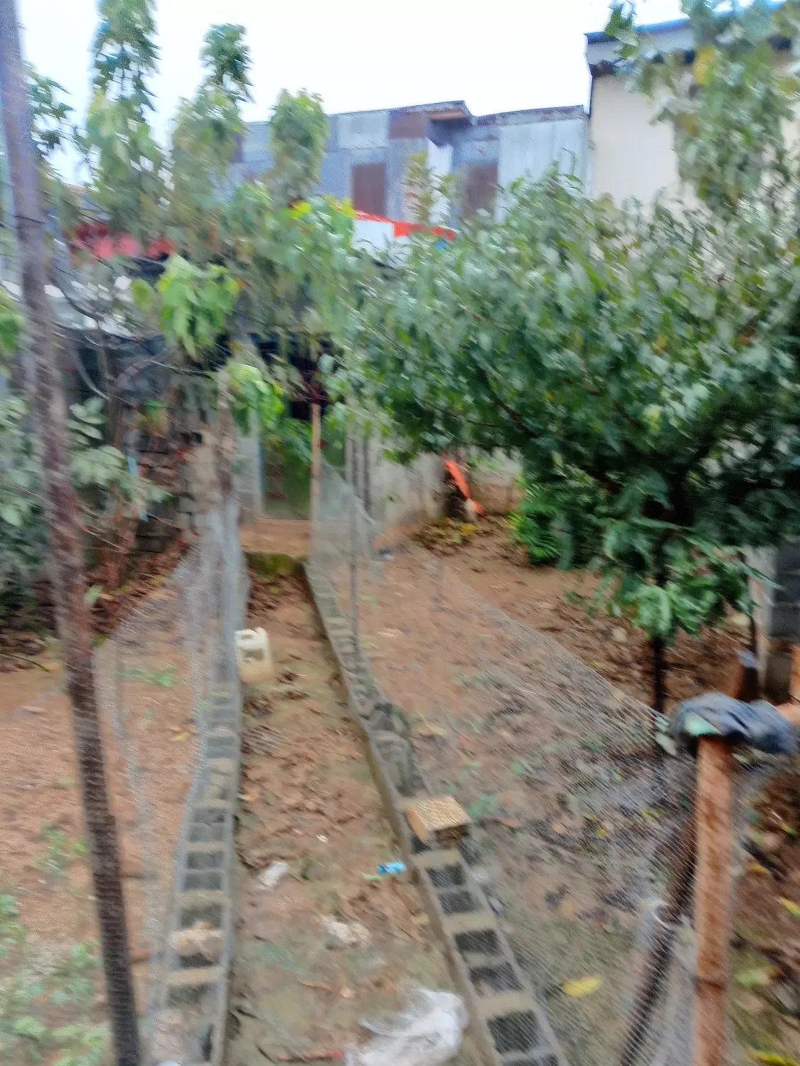 تصویر املاک 145467
