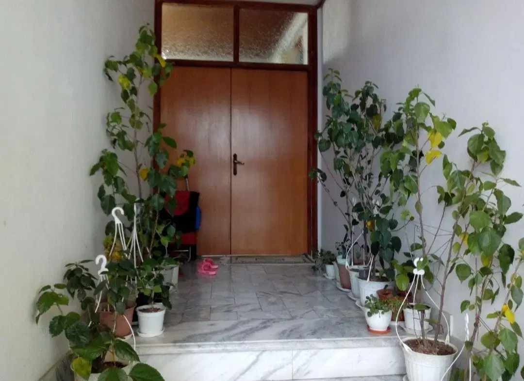 تصویر املاک 54533