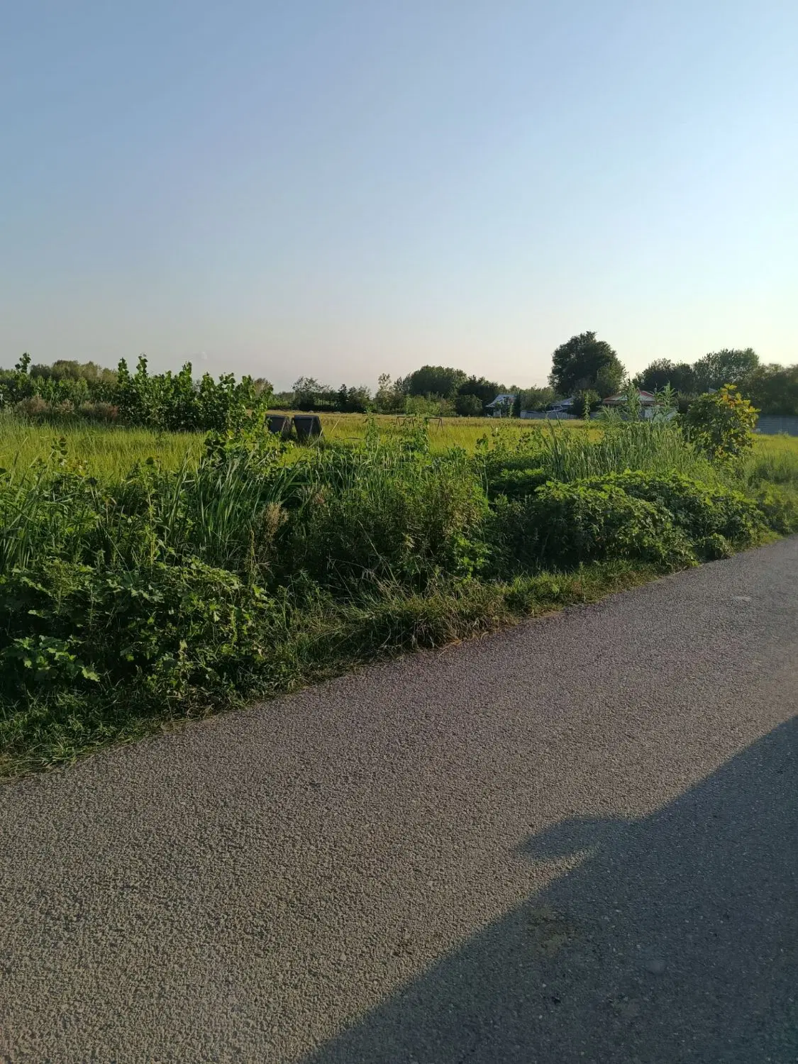 تصویر املاک 134360