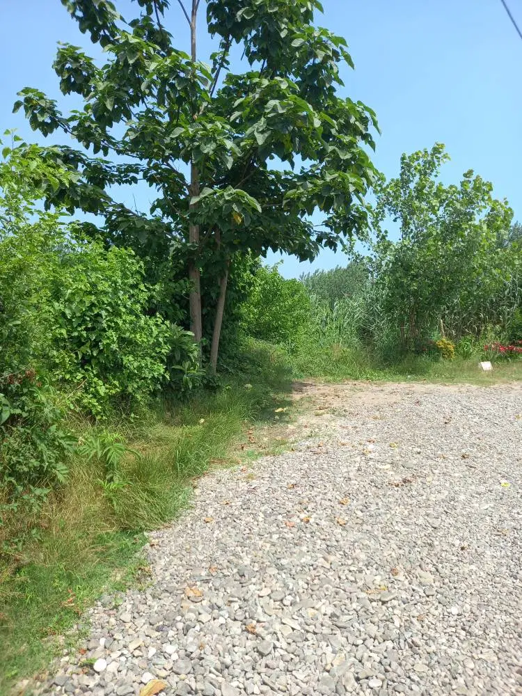 تصویر املاک 136338