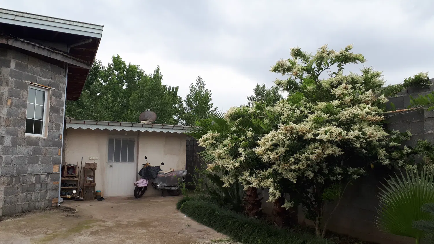 تصویر املاک 103705