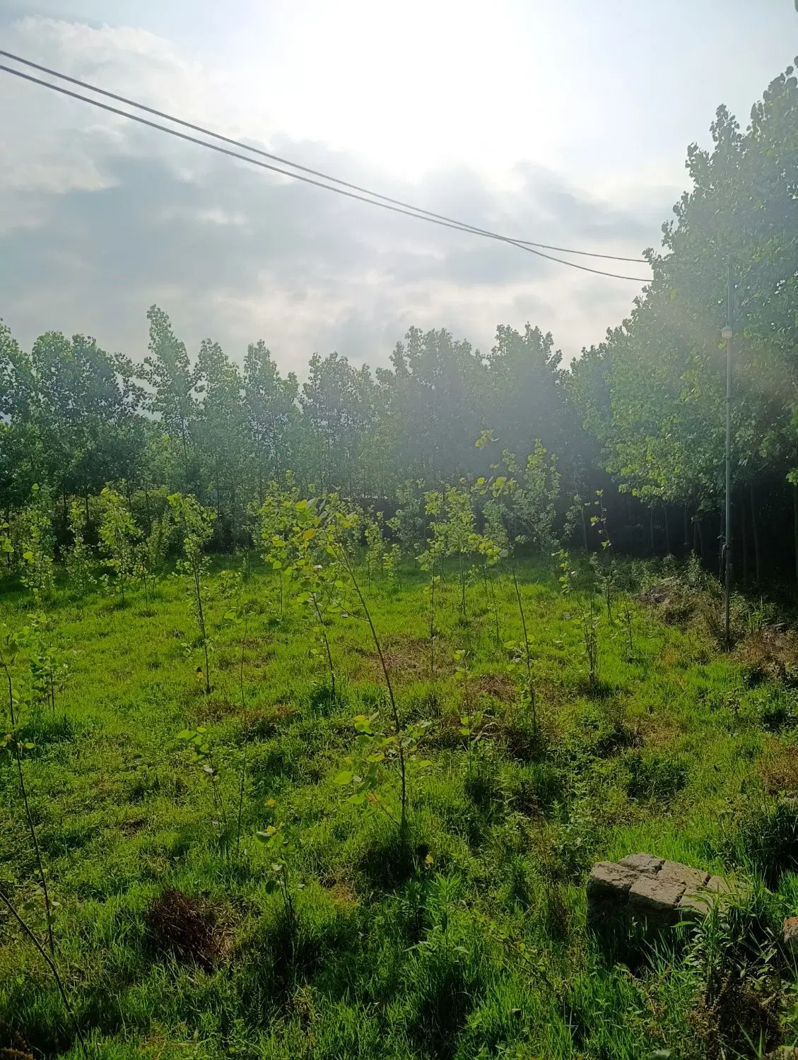 تصویر املاک 103490