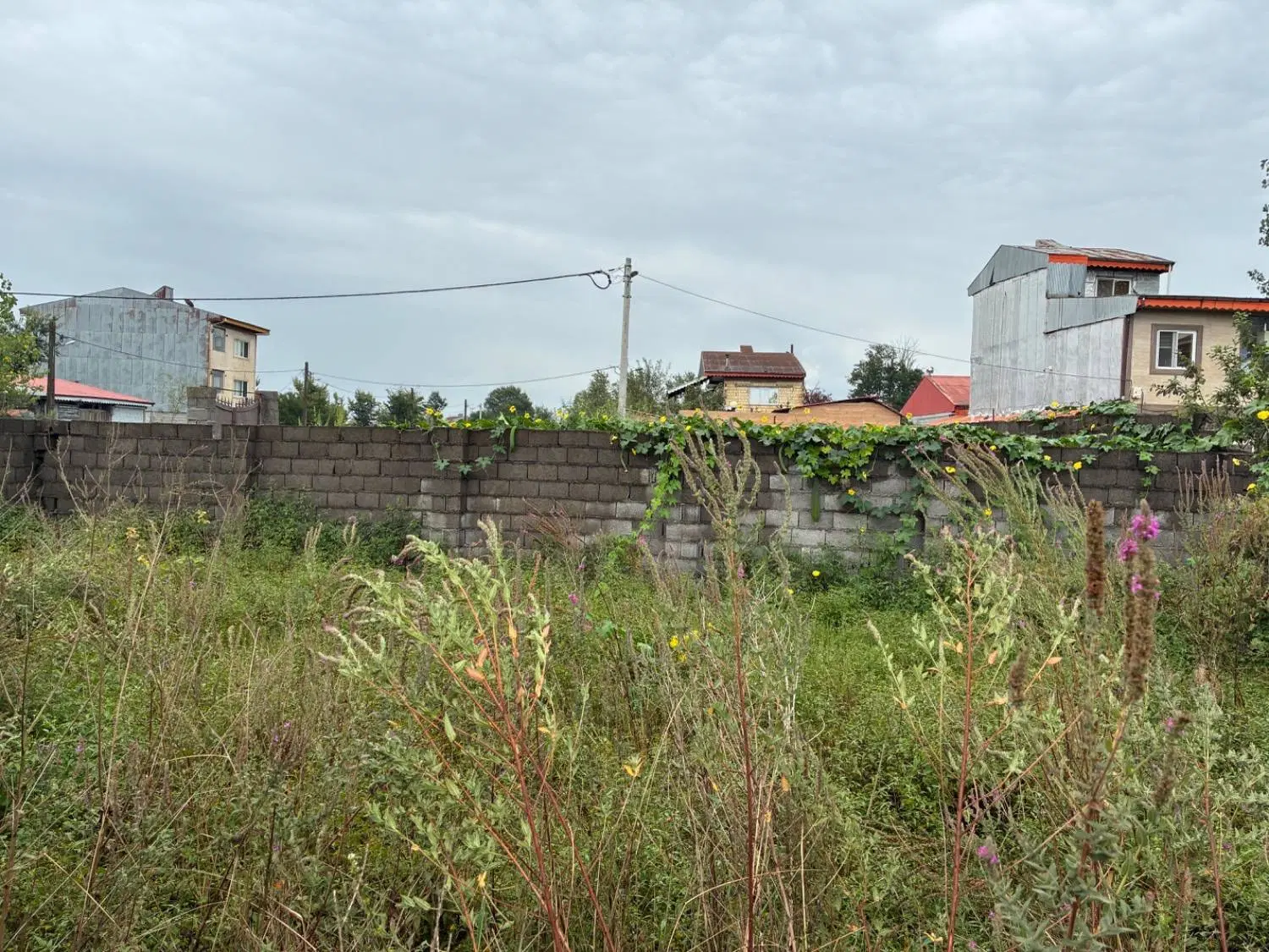 تصویر املاک 115147