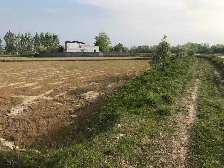 تصویر املاک 7815