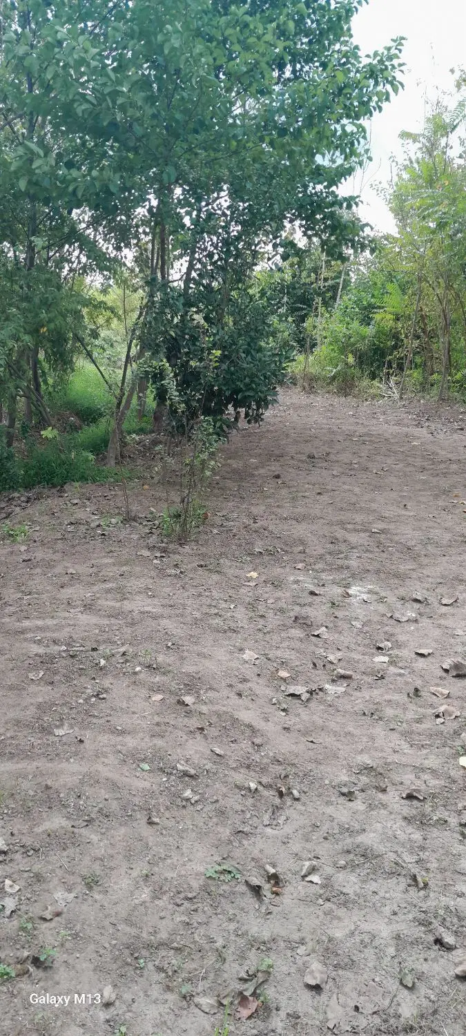 تصویر املاک 133573