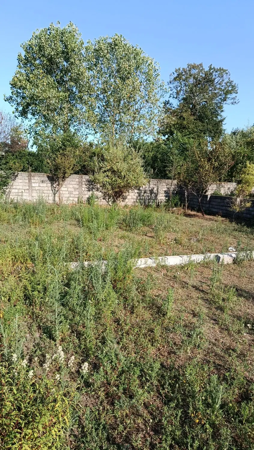تصویر املاک 112727