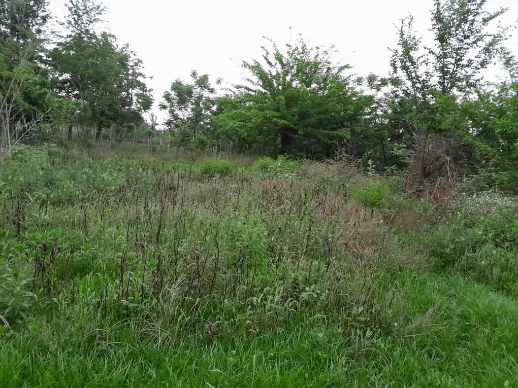 تصویر املاک 1808
