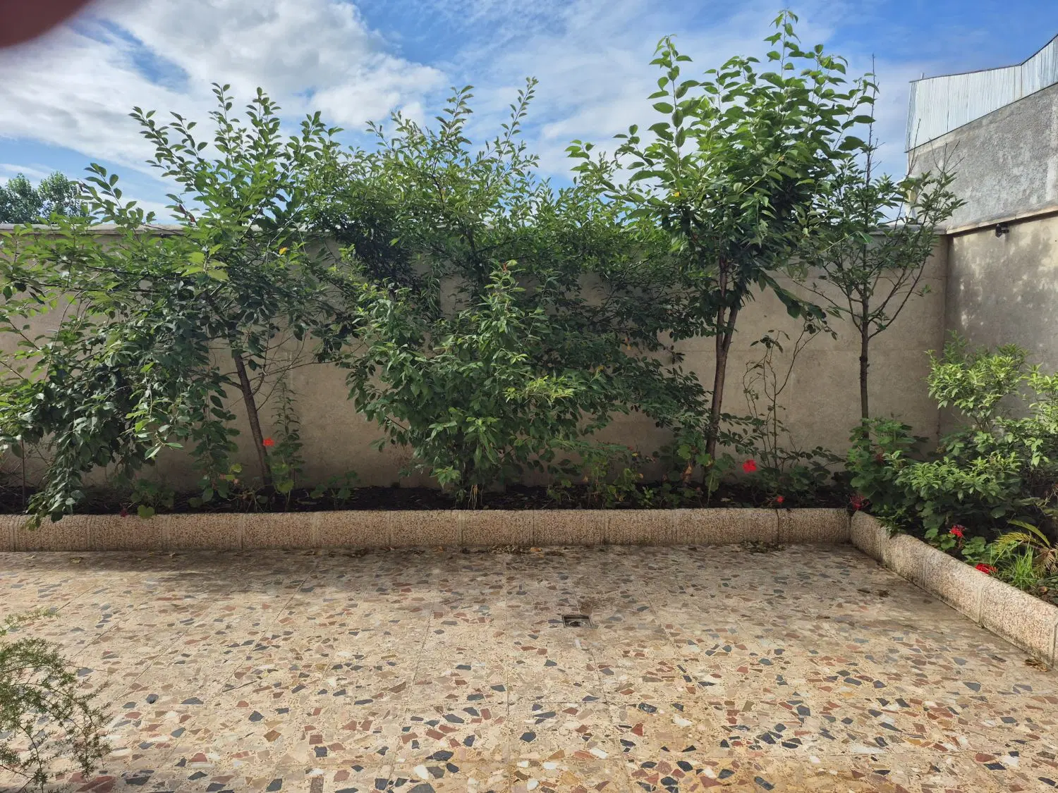 تصویر املاک 68839