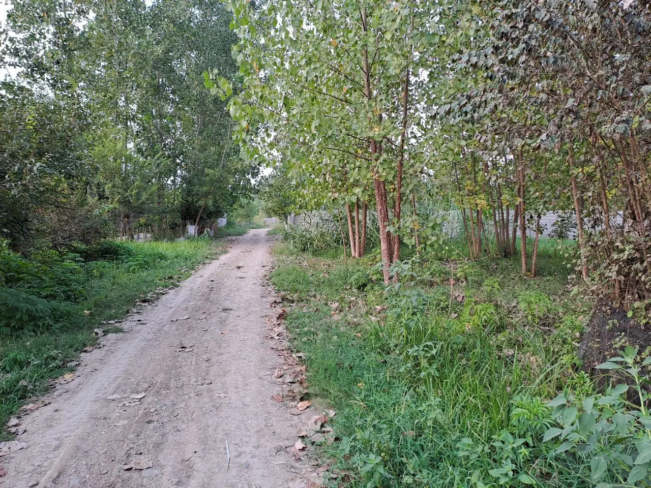 تصویر املاک 93651