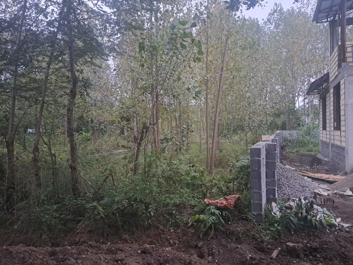 تصویر املاک 134452