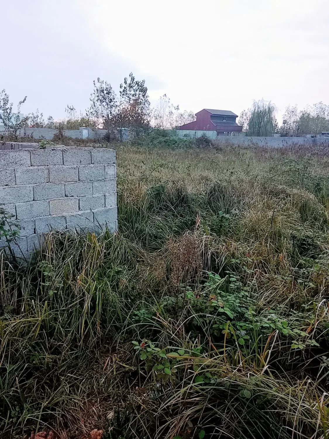 تصویر املاک 7355