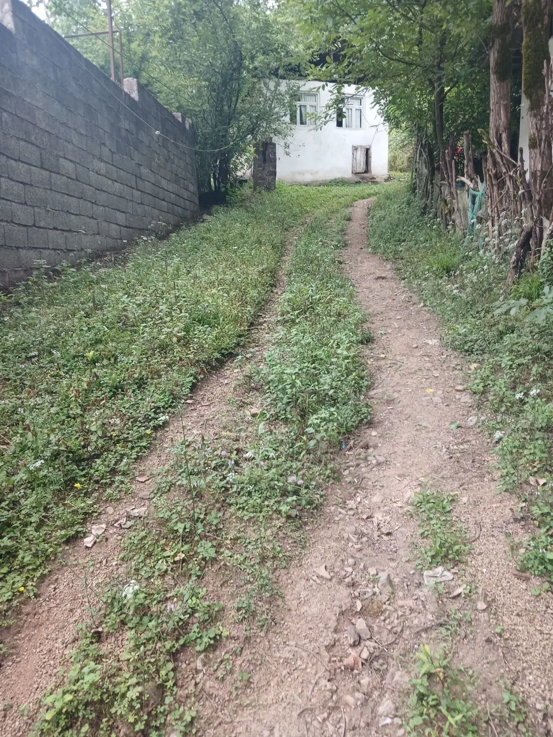تصویر املاک 142985