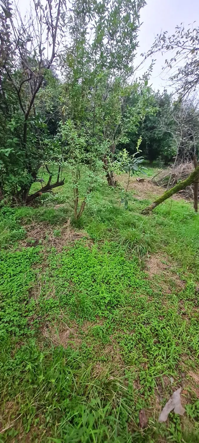 تصویر املاک 133777