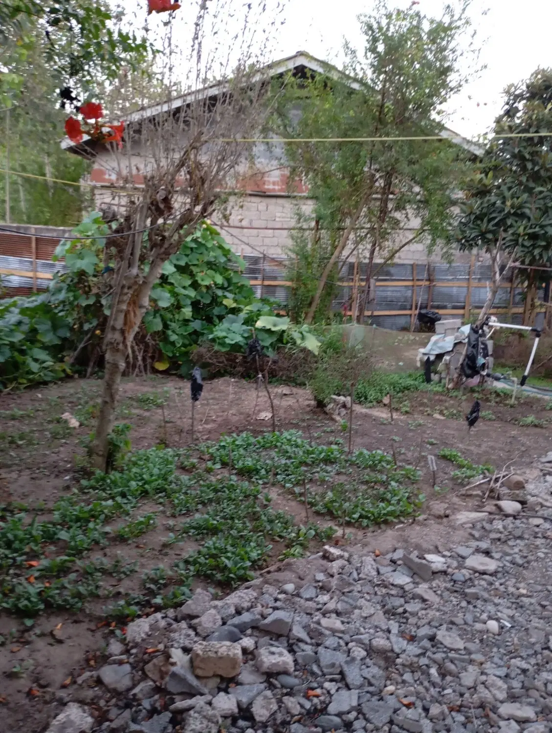 تصویر املاک 107331