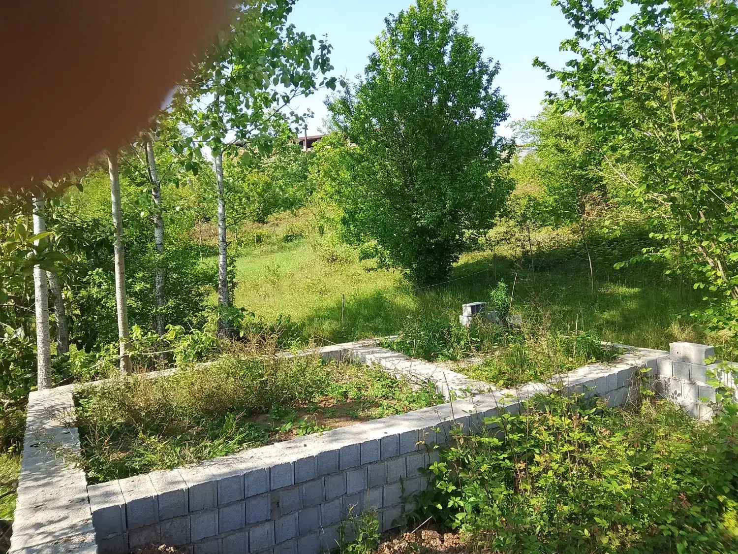 تصویر املاک 35679