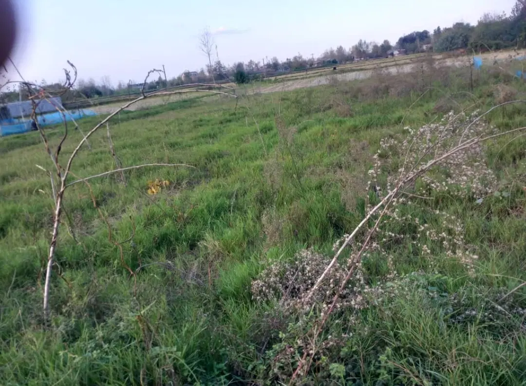 تصویر املاک 43398