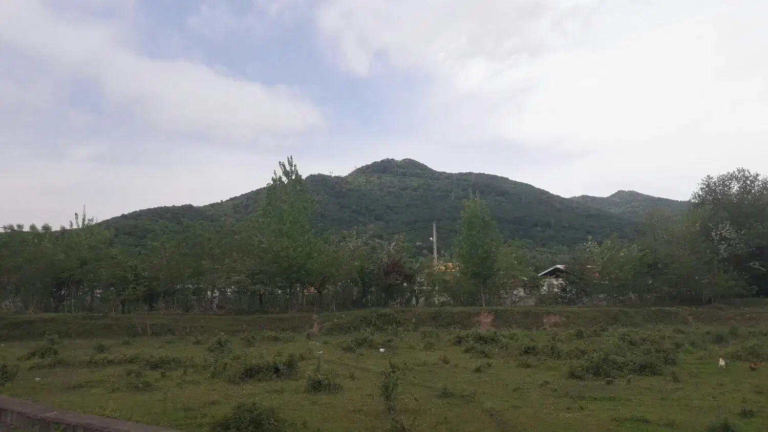 تصویر املاک 41574