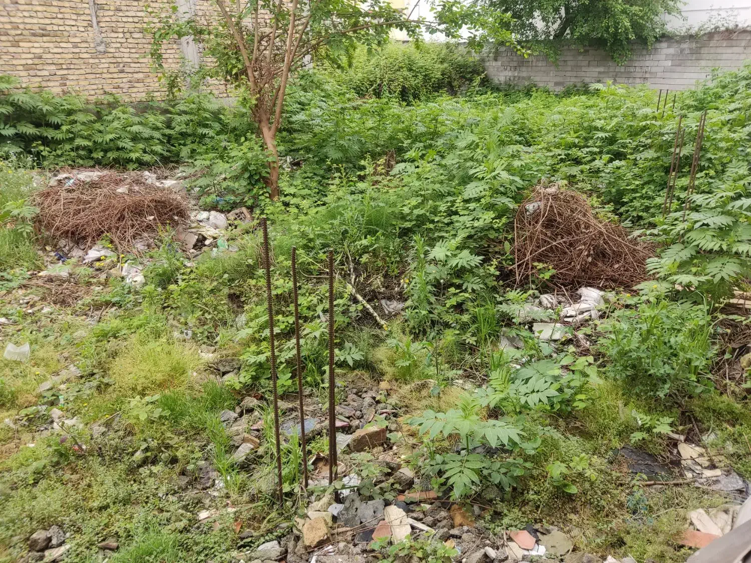 تصویر املاک 10055