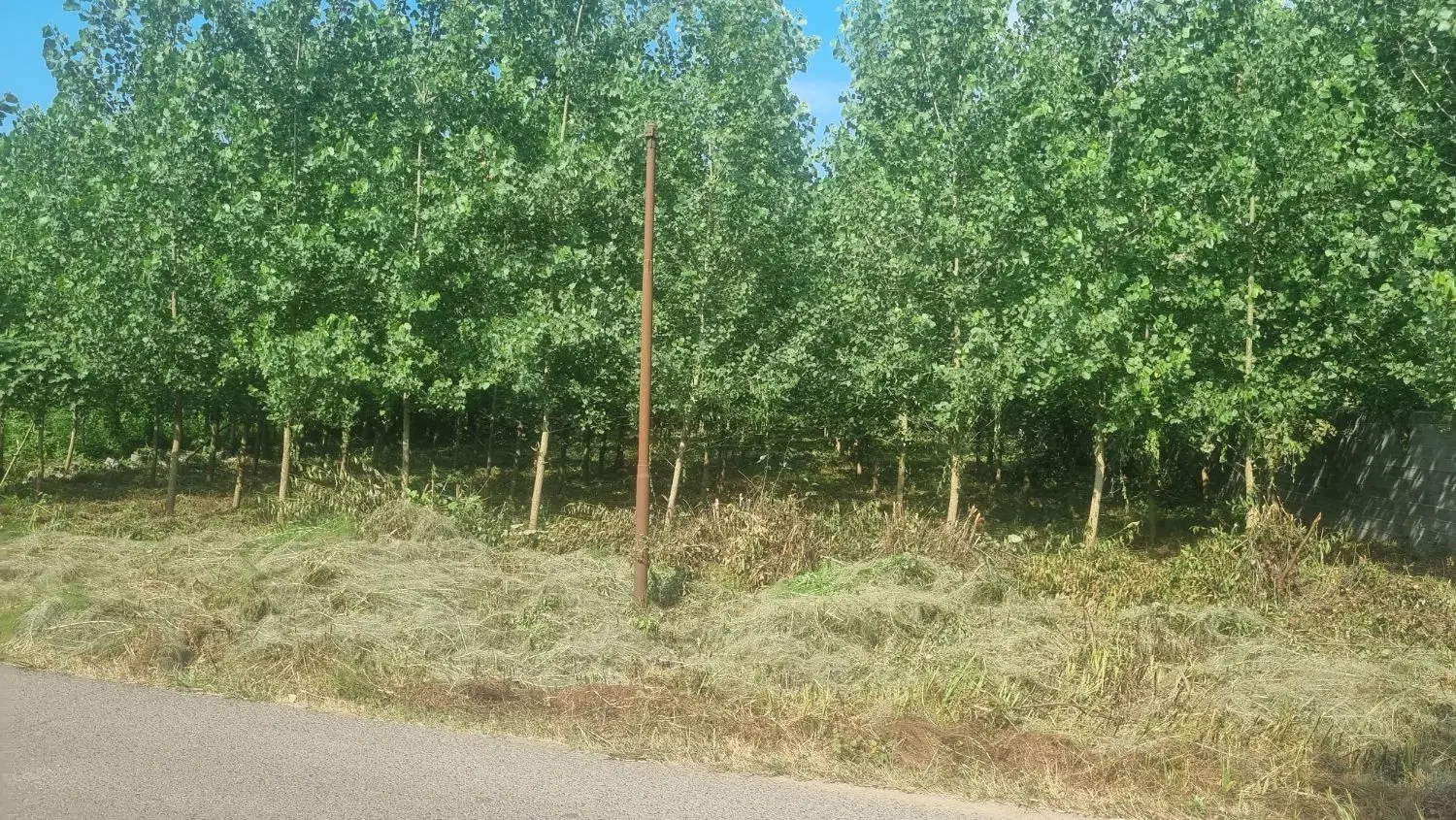 تصویر املاک 88409