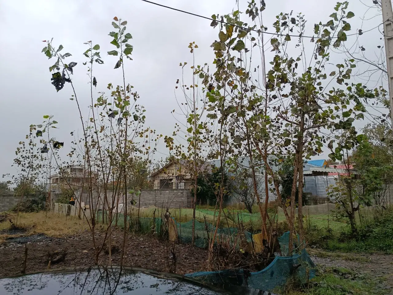 تصویر املاک 45293