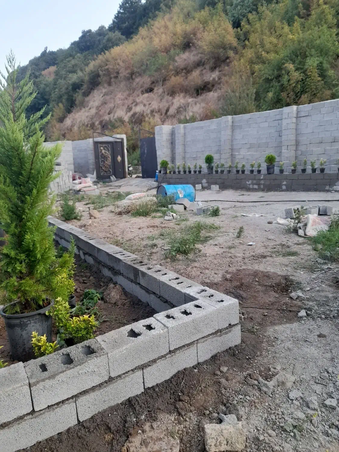 تصویر املاک 22942