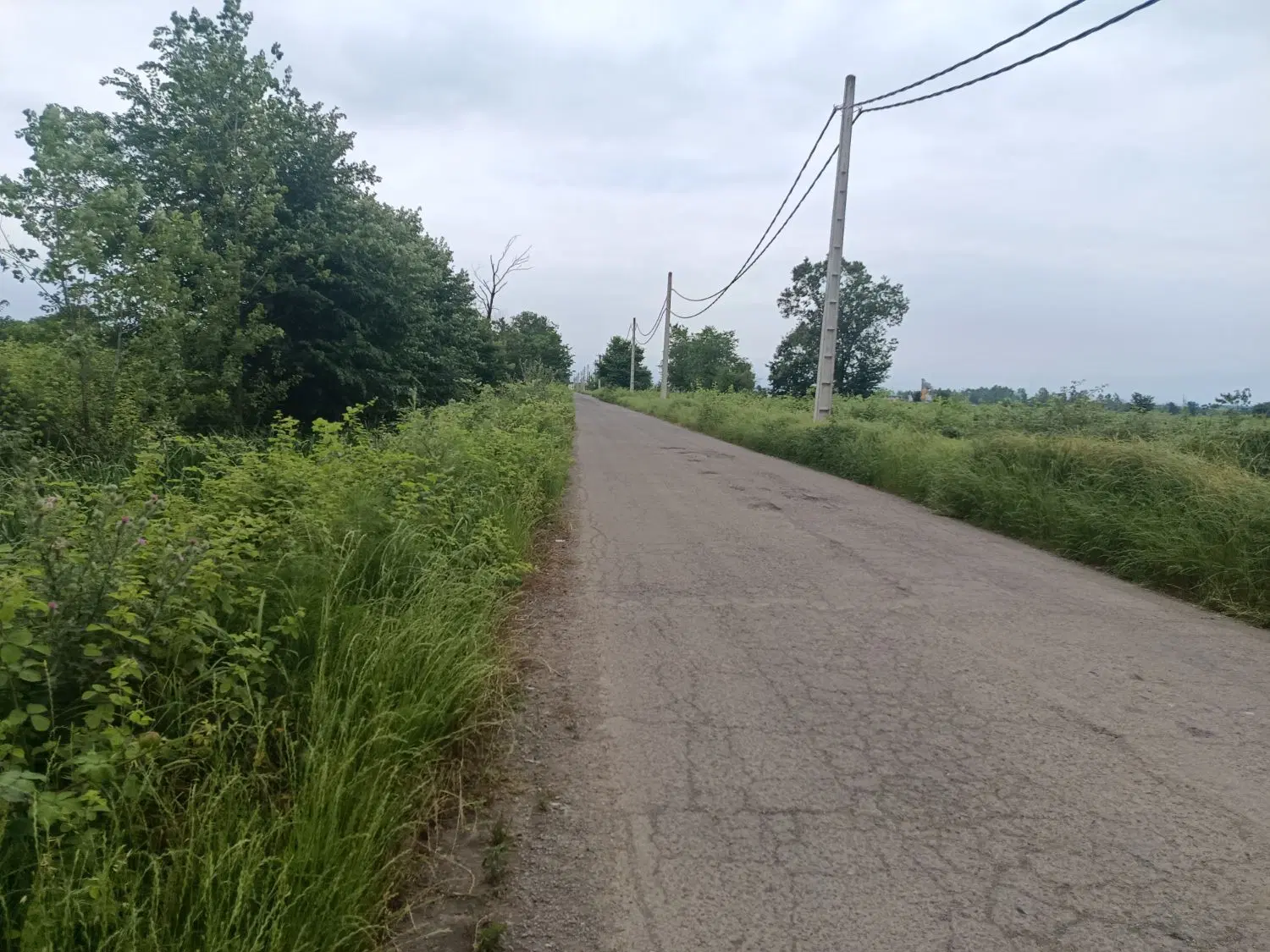 تصویر املاک 74900