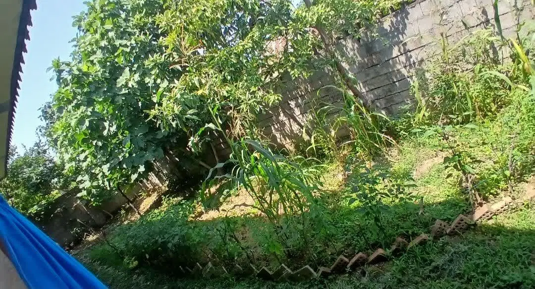 تصویر املاک 135502
