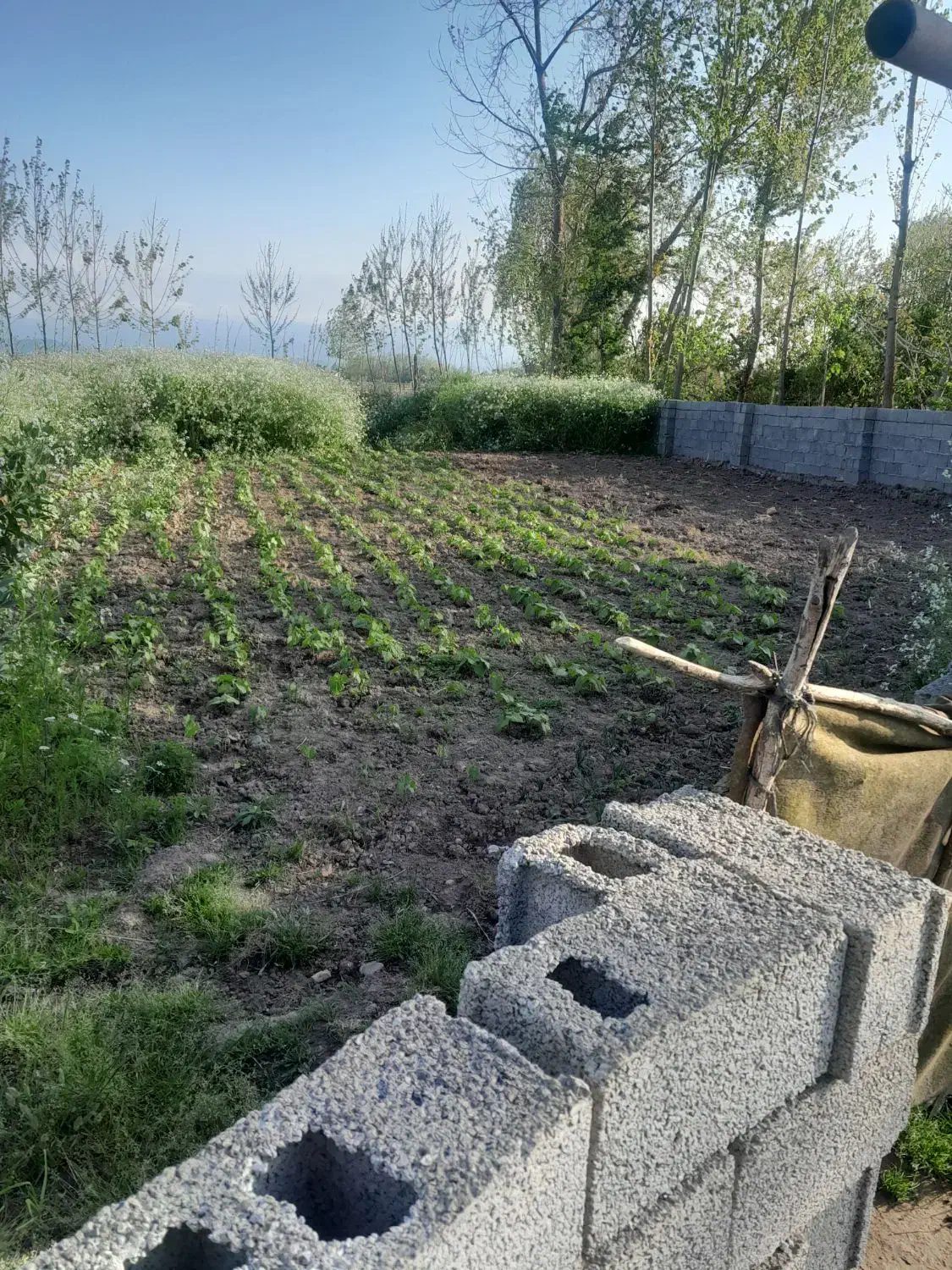 تصویر املاک 36910