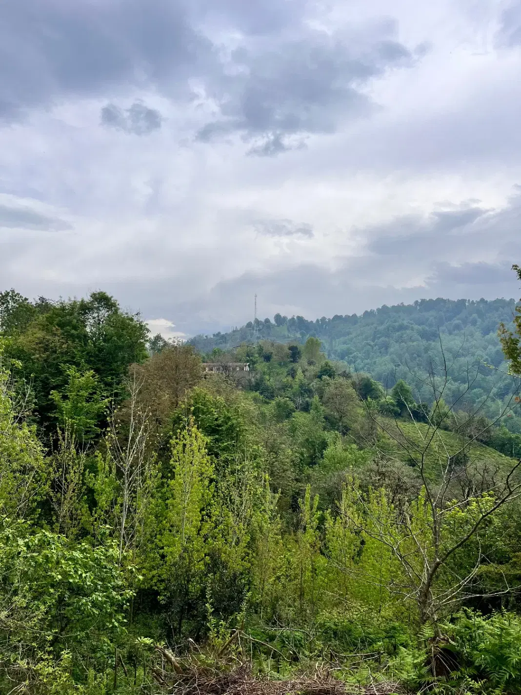 تصویر املاک 76471