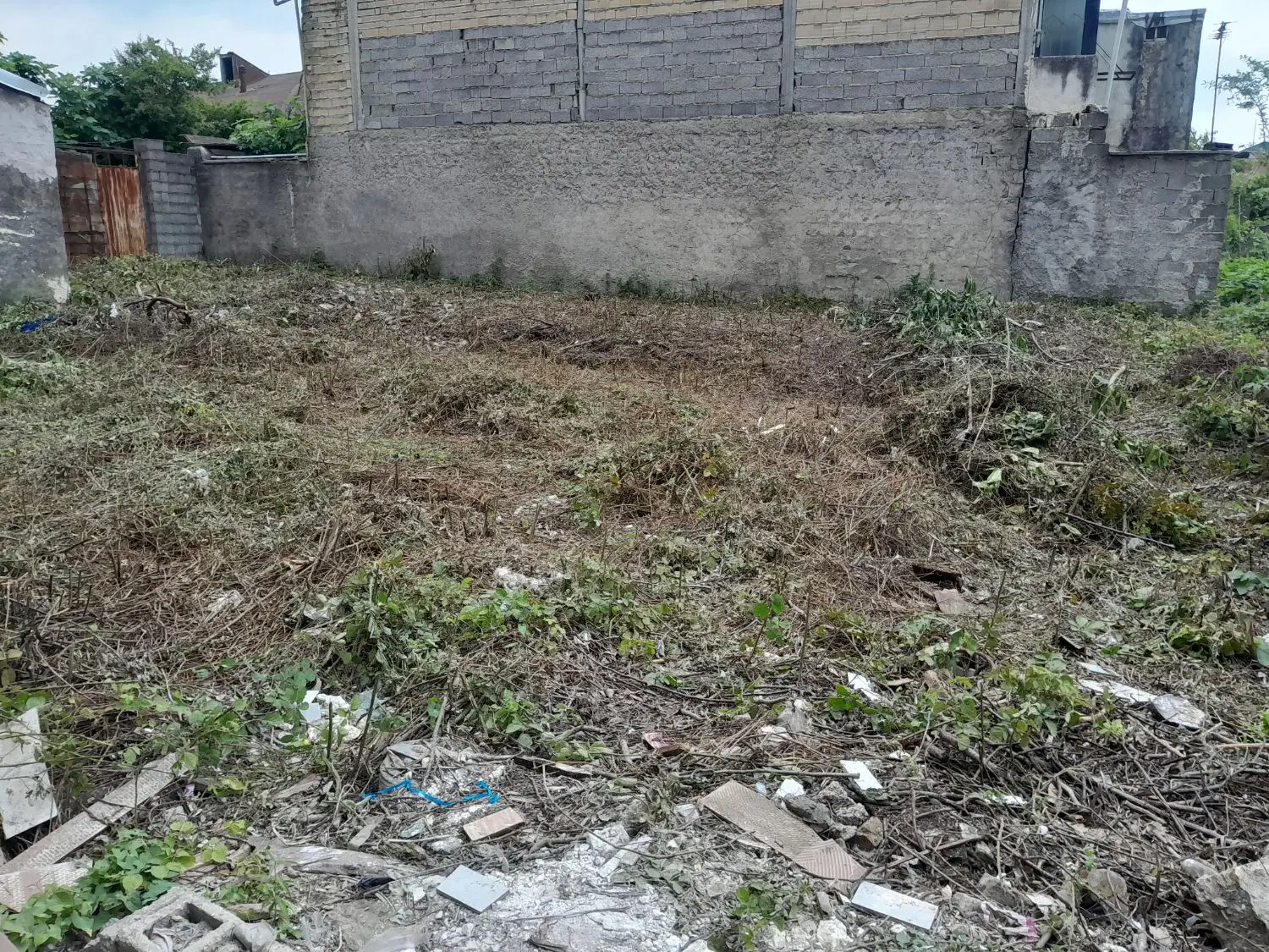 تصویر املاک 87318