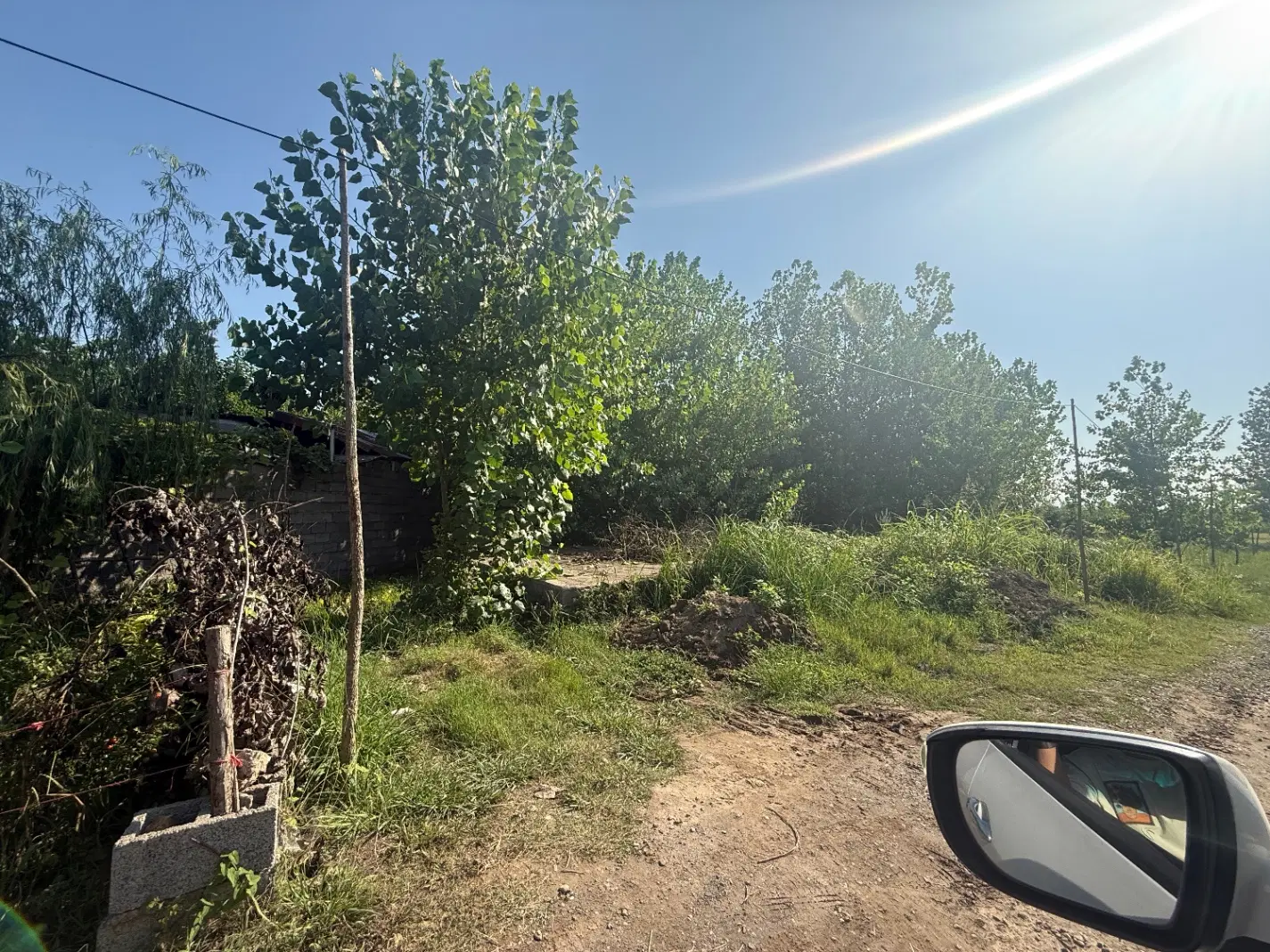 تصویر املاک 114397