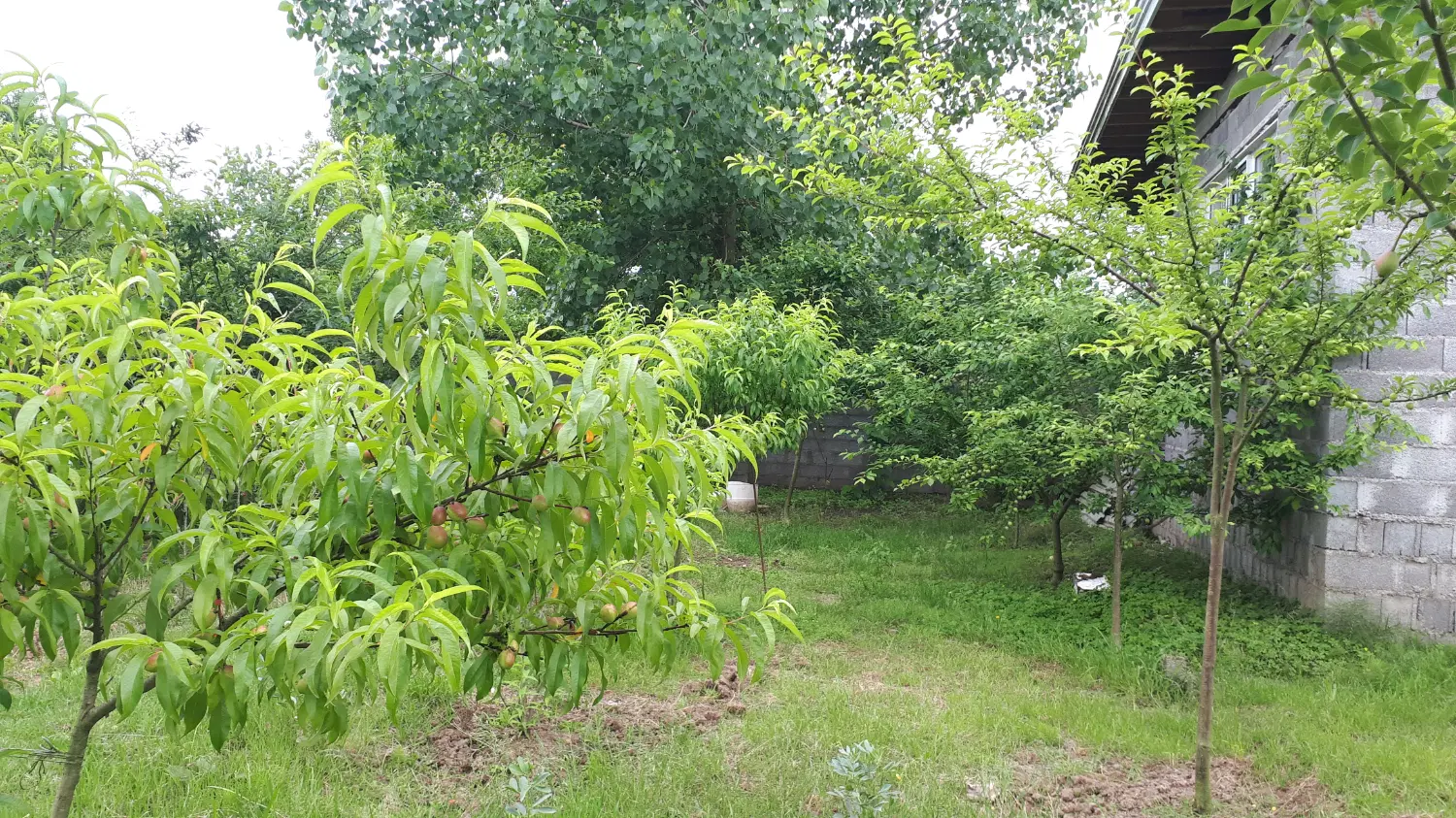 تصویر املاک 103706