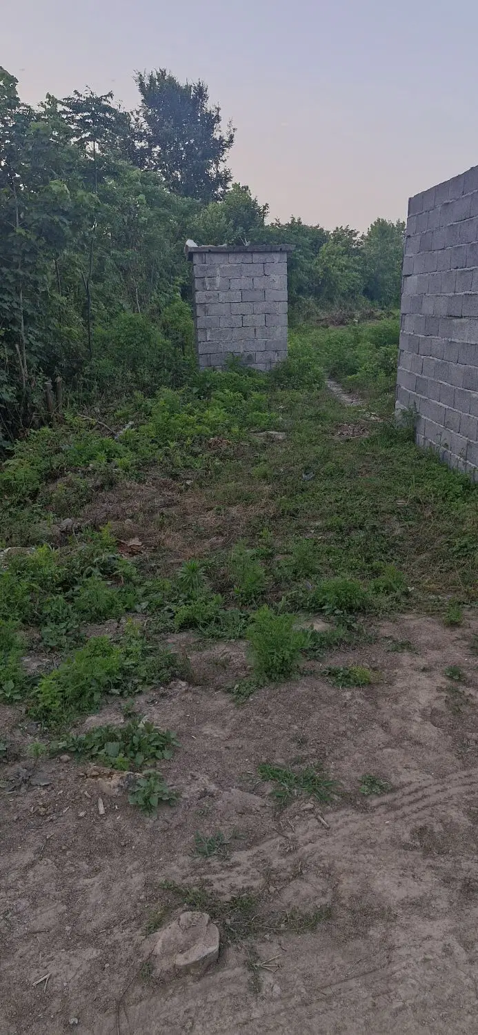 تصویر املاک 67475