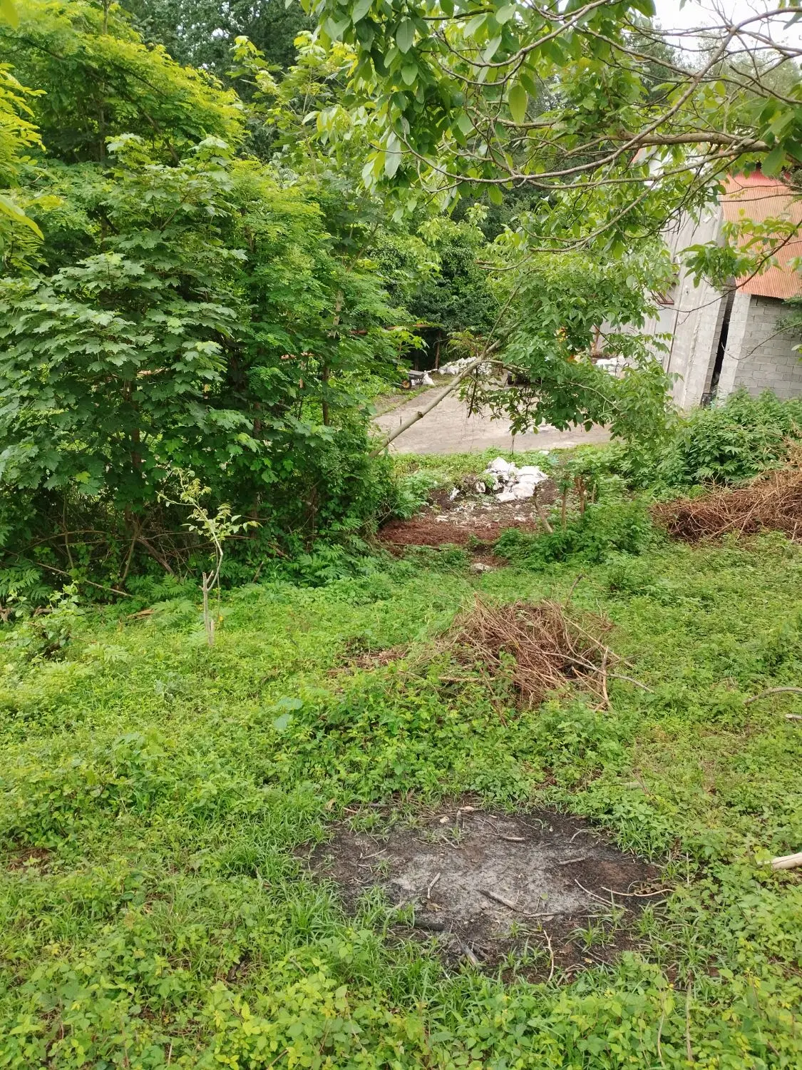 تصویر املاک 57039